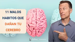 11 malos hábitos que dañan tu cerebro- Dr. Eric Berg Español