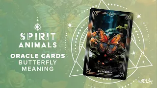 Butterfly Spirit Animal | Symbolism & Meaning Explained