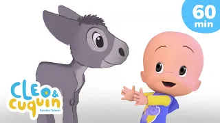 A mi burro 🐴💙 y más canciones infantiles para bebés con Cleo y Cuquín