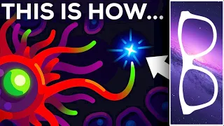 "The Best Way to Boost Your Immune System" by Kurzgesagt Reaction!