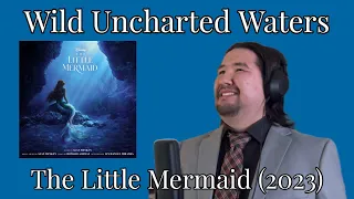 Wild Uncharted Waters (from “The Little Mermaid”) - Cover by John Cassens