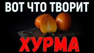 Вот ЧТО творит ХУРМА с организмом! Почему Об этом Молчат?