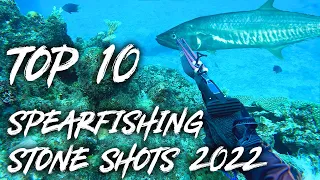 Top 10 Spearfishing Stone Shots of 2022