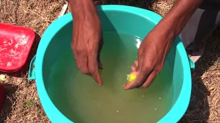 BANANA - Production enhancement Technologies of ICAR-IIHR  Bangaluru.