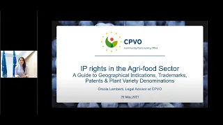 Webinar: IPR in the Agri food Sector:  a Guide to Geographical Indications, Trademarks