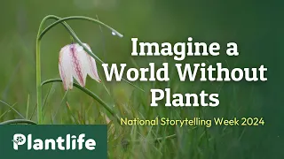 Imagine a World Without Plants - A Poem by Meg Griffiths