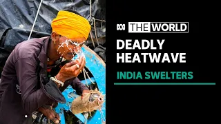 India battles through a deadly heatwave | The World