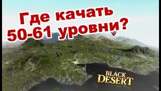 Black Desert (MMORPG) - Новая быстрая прокачка 50-61 🌍 Карта спотов в BDO
