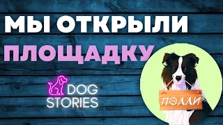 Открыли площадку 🐕 Площадка для выгула собак в Новороссийске 🐩 Как открыть место для дрессировки 🐾