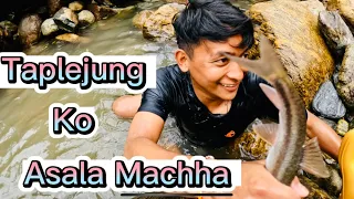 DUWALI FISHING IN NEPAL /Himalayan Snow Trout/ Asala Machha, Surumkhim, Taplejung. #fishingNepal