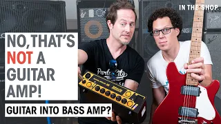 Can you play guitar through a bass amp? | In the Shop Episode #43 | Thomann