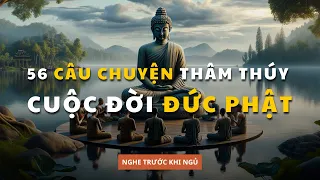 56 câu chuyện cuộc đời ĐỨC PHẬT giúp bạn THỨC TỈNH | Triết Lý Cổ Nhân