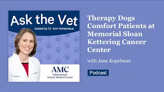 Ask the Vet: Therapy Dogs Comfort Patients at Memorial Sloan Kettering Cancer Center