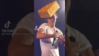 harry styles being wholesome with his cheese hat