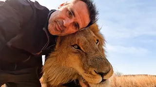 Farewell to the CATNIP KING | The Lion Whisperer