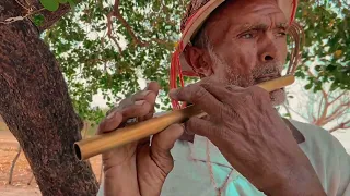 LEI PAULO GUSTAVO -  BANDA CABAÇAL