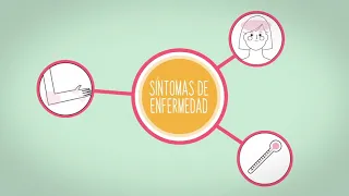 Síntomas del Dengue, Virus Zika y Fiebre Chikungunya