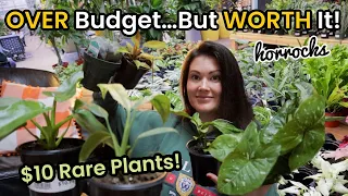 $10 Rare Plants! OVER Budget...But WORTH It! Plant Shopping & Plant Haul Horrock's Nursery