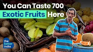 Karnataka Farmer Grows Exotic Fruits From 40 Countries in His Polyhouse Farm  | The Better India