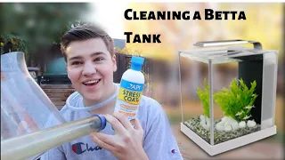 HOW TO CLEAN A *BETTA FISH TANK*