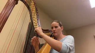 In Dreams from the Lord of the Rings (harp cover)