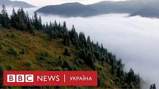 Як у румунських Карпатах рубають ліс і до чого тут Ikea