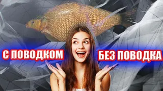 Какая нужна ОСНАСТКА для ловли ЛЕЩА? ● Русская Рыбалка 4 | РР4