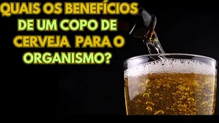 Cerveja: 8 Razões para Consumir Moderadamente