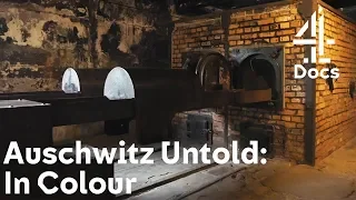 The Story You Never Heard: Jewish Resistance That Bombed a Gas Chamber | Auschwitz Untold: In Colour