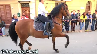 Vicari (PA) - Sfilata equestre - prima parte - 2018