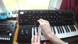 The Power of the Moog Subsequent 37