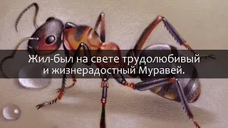 Притча о трудолюбивом муравье. Прямо как в жизни.