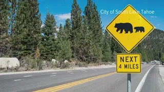 CHP warns drivers about bears on the roads in Lake Tahoe
