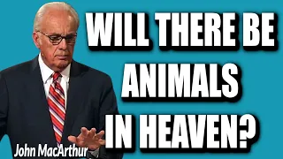 John MacArthur:  WILL THERE BE ANIMALS IN HEAVEN?