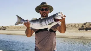 California Aqueduct fishing!! | Caught me a 10 lbs MONSTER (PB Striper)