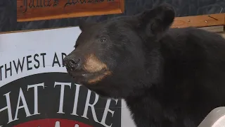 Bentonville Black Bear Bonanza