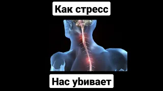 Как стресс нас убивает