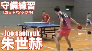 【卓球/Tリーグ】朱世赫選手の基本打法のカット練習編【琉球アスティーダ】