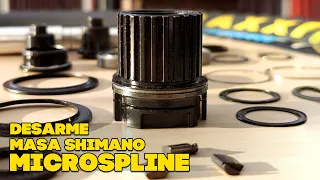 Serías capaz de desarmar esta maza Shimano ?...... de rodamientos sellados Micro Spline ? .