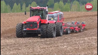 В "Органик Лэнде" сеют стратегическую культуру - кукурузу: семена и белорусские, и импортные