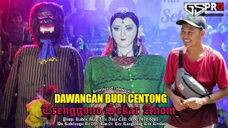 DAWANGAN BUDI CENTONG TRENGGONO SEKAR ANOM