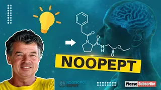 Noopept (updated)