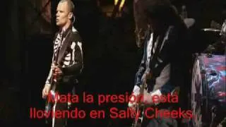 Red Hot Chili Peppers - Parallel Universe live at Slane Castle (traducida)