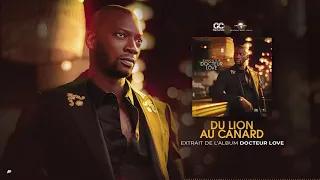 Singuila - Du lion au canard [Album : Dr LOVE] [Audio Officiel]