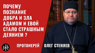 Почему познание добра и зла Адамом и Евой стало страшным деянием? | Протоиерей Олег Стеняев