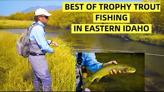 Best of Trophy Trout Fishing in Eastern Idaho