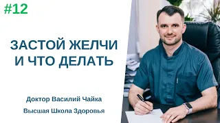 #12 Застой желчи и что нужно делать. Спросите у доктора Василия Чайки, Высшая школа Здоровья