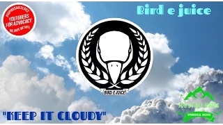 Bird e juice review~ March 2017~ Joe of all vapes~