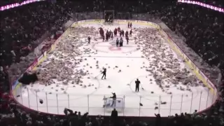 Hockey.Fans threw players Teddy Bears.Хоккеистов забросали игрушками.