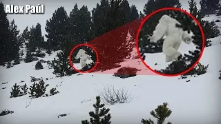 5 Apariciones Reales del YETI Captadas en Video